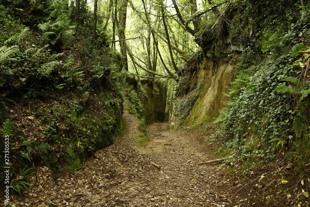 Fototapeta premium Empty trekking etruscan roads in Pitigliano, Grosseto, Toscana, Italia