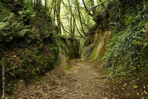 Empty trekking etruscan roads in Pitigliano  Grosseto  Toscana  Italia