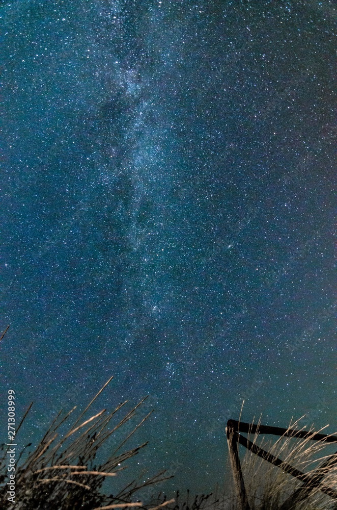Naklejka Night landscape with starry sky and milky way