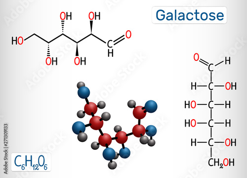 Galactose, D-galactose, milk sugar molecule. Linear form. Structural chemical formula and molecule model
