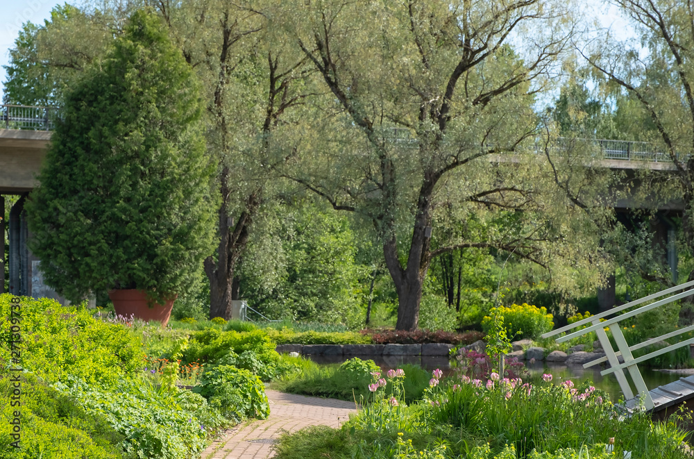 Summer, urban park with lush, green vegetation. White wooden bridge over a small river. Summer, urban park with lush, green vegetation. White wooden bridge over a small river.