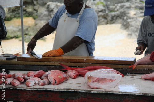 carribean island grand cayman summer beach
