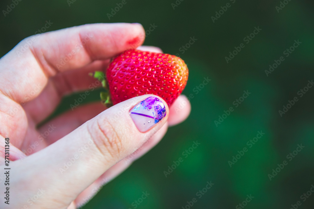 strawberry in the hand with stylish manicure strawberry in the hand with stylish manicure