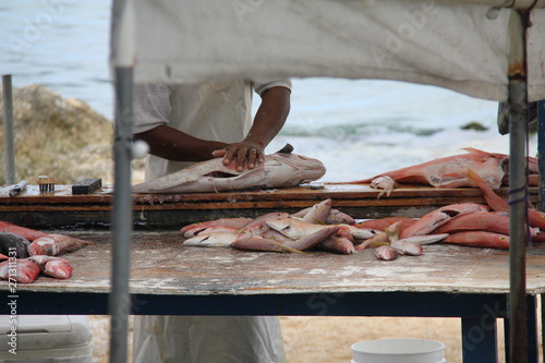 carribean island grand cayman summer beach