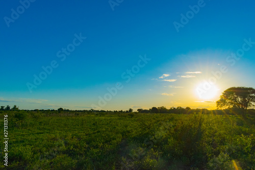 Paisajes de Campo, Chaco Argentino