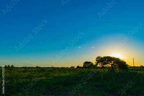 Paisajes de Campo  Chaco Argentino