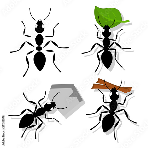 Set of ant with separate parts, with leaf, branch and pebble on white. © innafoto2017