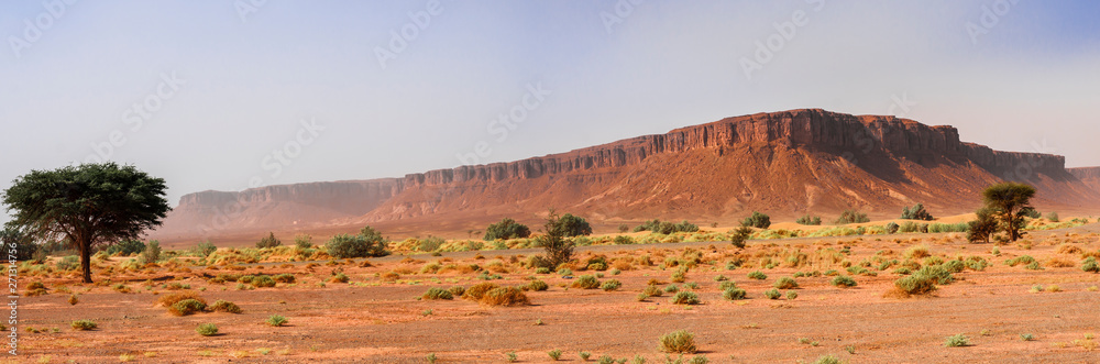 Rock formation in the Sahara / Rock formation in the Sahara, near the salt lake Iriki, Morocco, Africa.