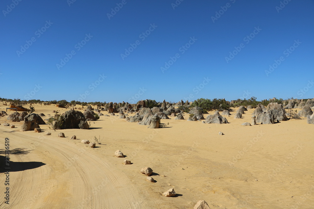 Path through the Pinnacles Desert in Western Australia