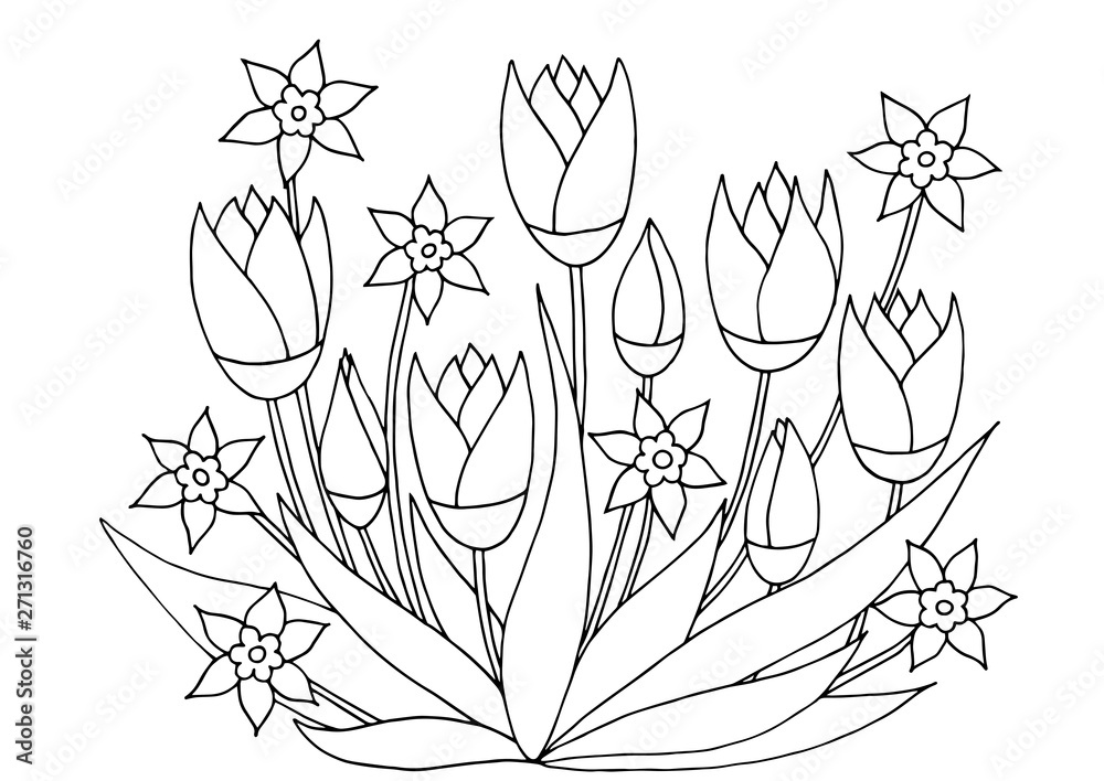hand-drawn-flower-patterns-for-coloring-pages-stock-vector-adobe-stock
