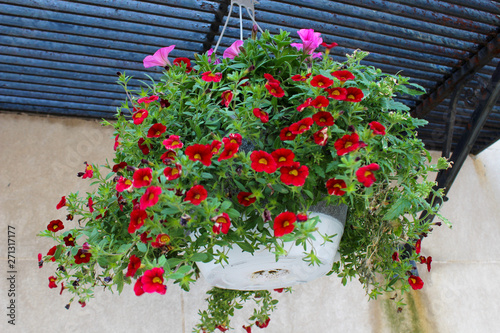 hanging basket of spring flowers
