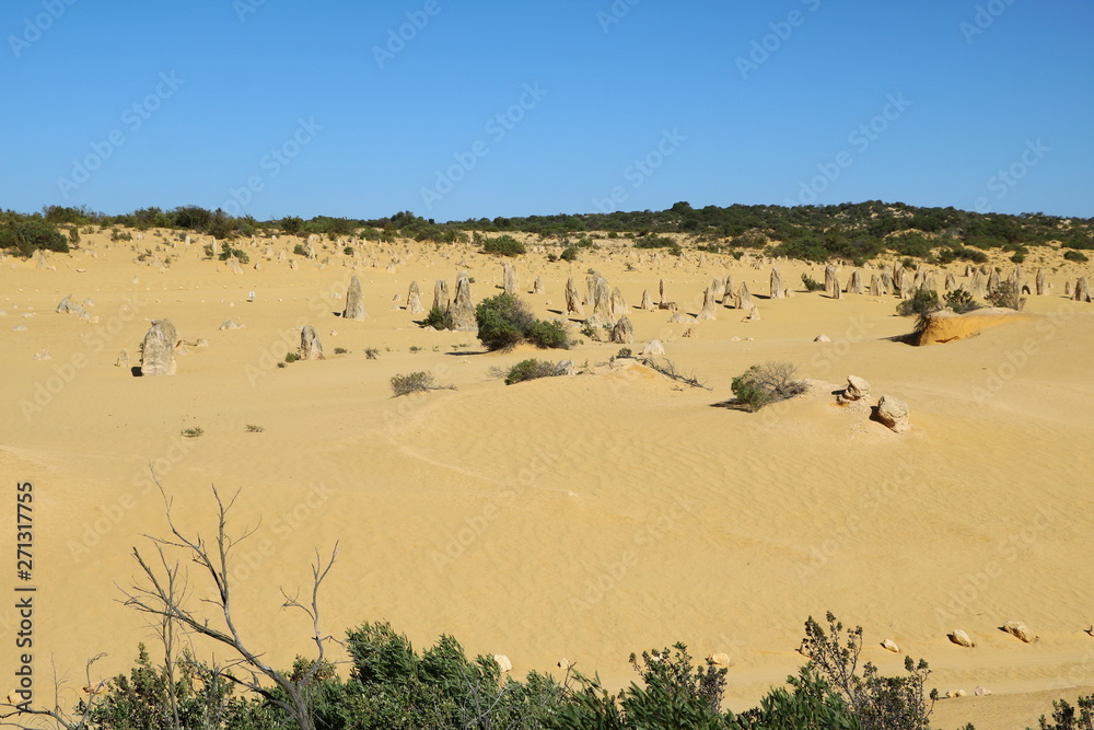 Limestone formation at Pinnacles Desert in Western Australia