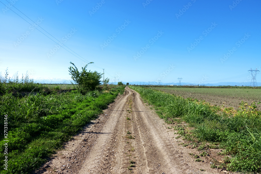 countryside landscape with dirt road over sunny blue sky