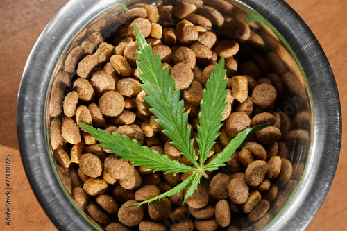 Food treat for dogs and cats in metal utensils with a green leaf of hemp close up - CBD and medical marijuana for pets