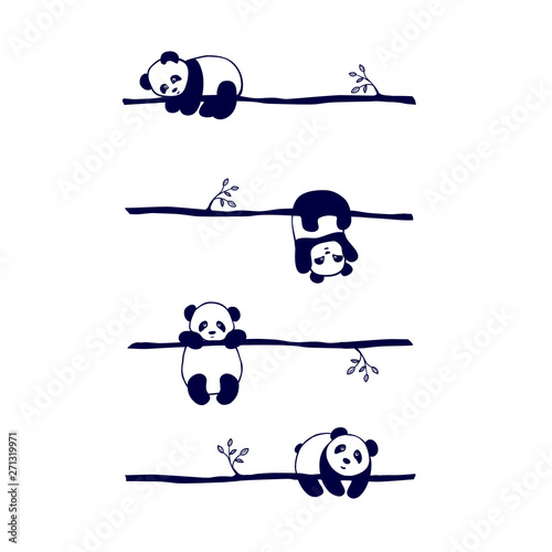vector seamless pattern cute little Panda bear in different poses,on white background