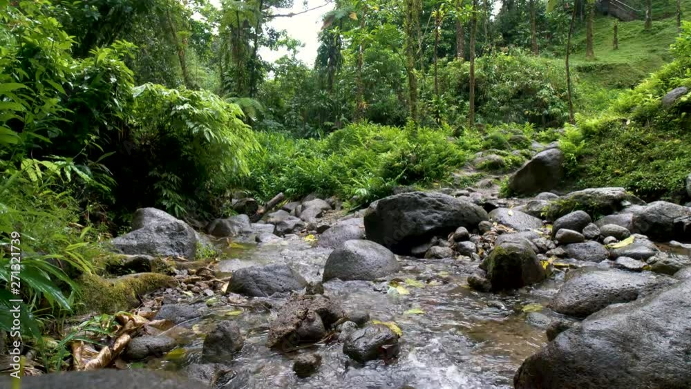 Jungle, rain forrest stream of water flowing between rocks - small water fall Jungle, rain forrest stream of water flowing between rocks - small water fall