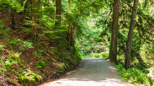 Forest walk on TransCanada Trail near Simon FraserUniversity and the residential community of UniverCity