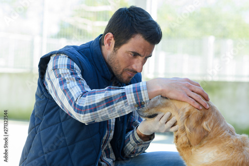 male vet looking into the ear of a dog