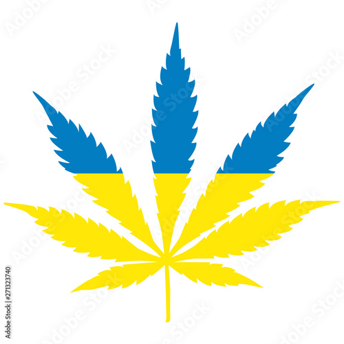 The concept of legalization of marijuana in Ukraine. Cannabis leaf of marijuana in the form of the Ukrainian flag.