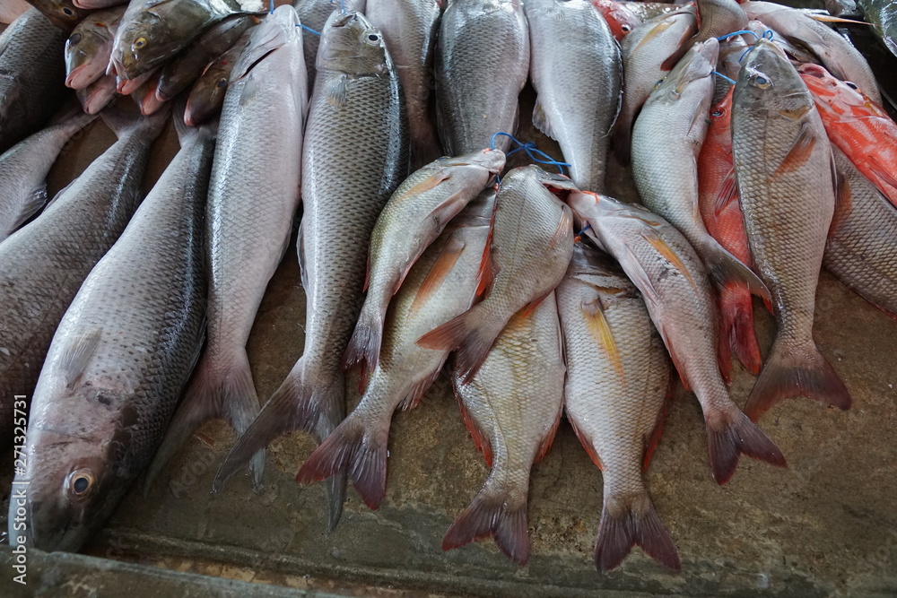 Fototapeta premium fisch auf dem markt in afrika