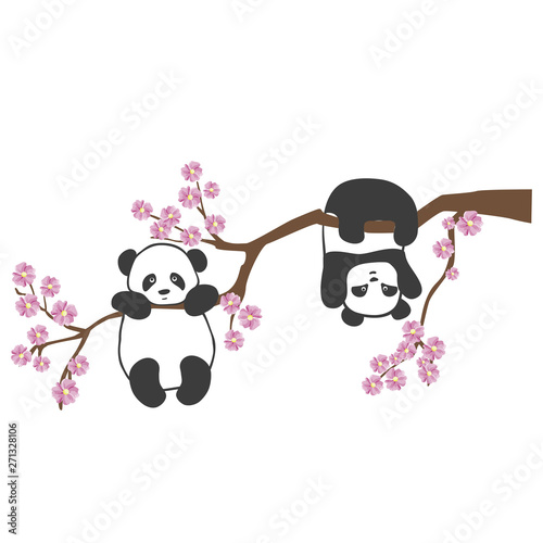 vector illustration of cute little Panda on Sakura tree branch, flat design