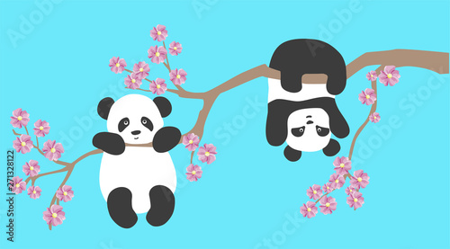 vector illustration of cute little Panda on Sakura tree branch, flat design