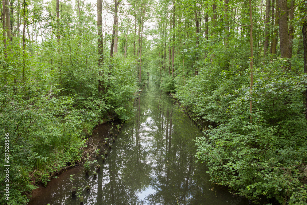 Obraz premium Landschaft im Spreewald