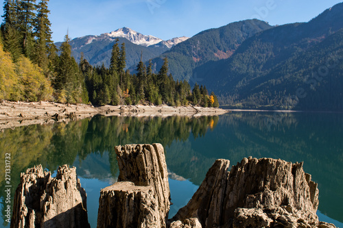 Dry logs and tree stumps on the dry shore of Baker Lake in North Cascades