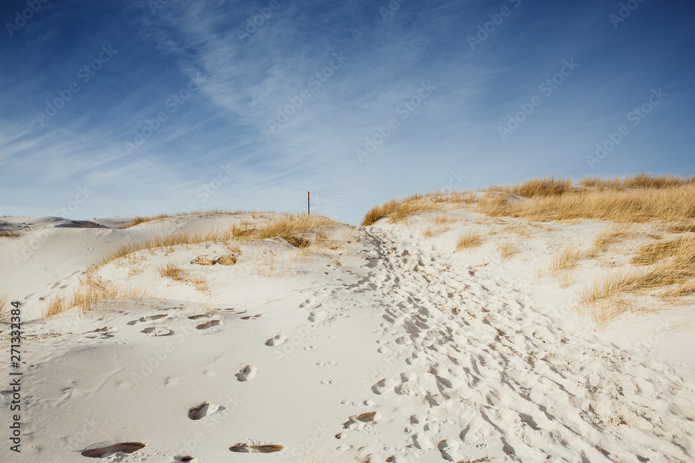 Wooden path with stairs or boardwalk leading through dunes to the top of a hill.