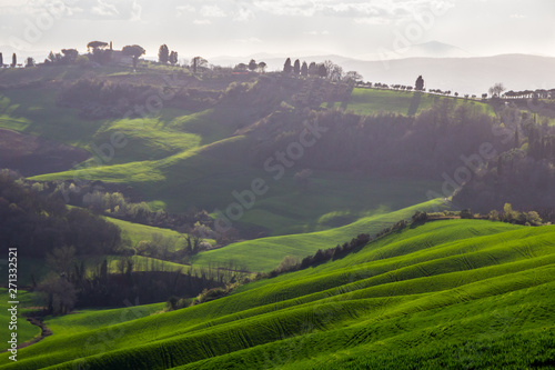 green fields and hills in Crete Senesi in Tuscany