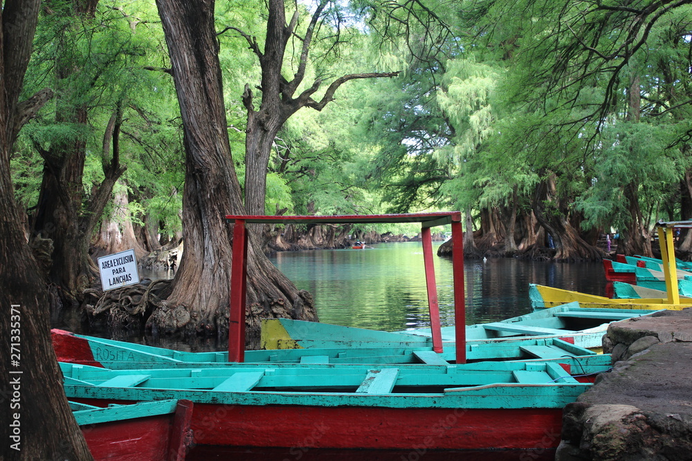 Obraz premium Lago Camécuaro