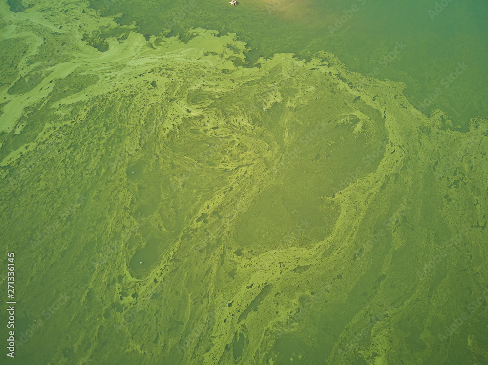 Aerial view of the Valdecañas reservoir, with green water from the algae and natural lines of the descent of the water. Natural texture