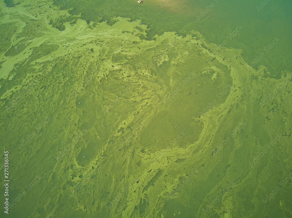 Aerial view of the Valdecañas reservoir, with green water from the algae and natural lines of the descent of the water. Natural texture Aerial view of the Valdecañas reservoir, with green water from the algae and natural lines of the descent of the water. Natural texture