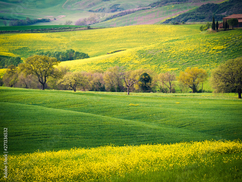 Landscape in spring. © isaac74