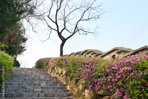 Landscape of Seoul city wall (Waryong Park) in Korea photo