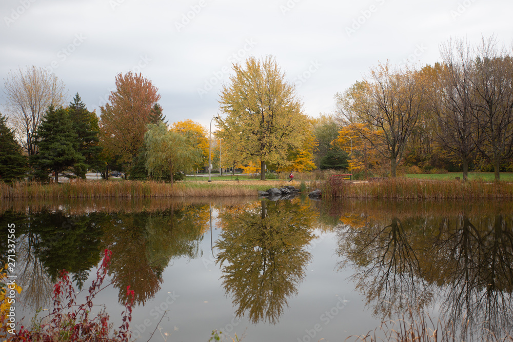 Obraz premium Reflections of trees during fall
