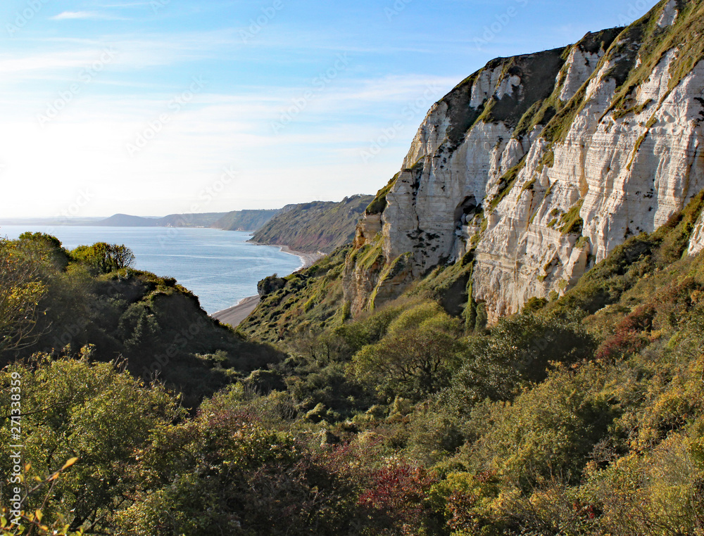 Fototapeta premium Hooken undercliff between Branscombe and Beer in Devon, England.