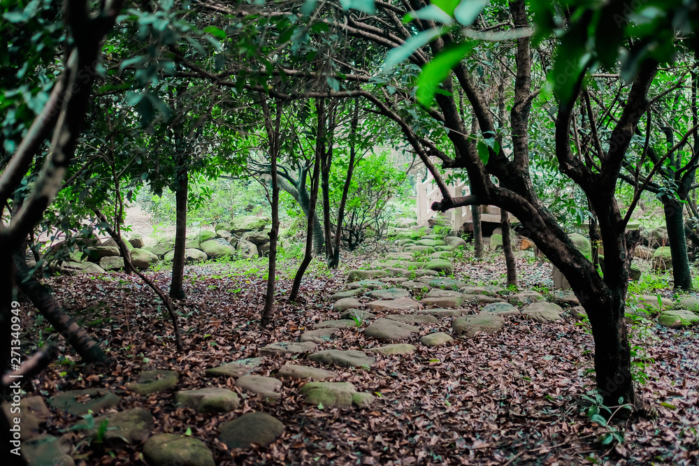 Fototapeta premium Old Chinese stone pathway in park