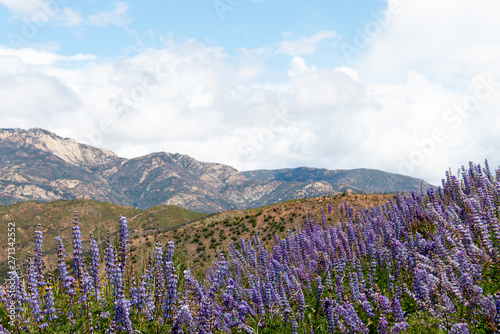 Rose Valley in Los Padres National Forest during Spring