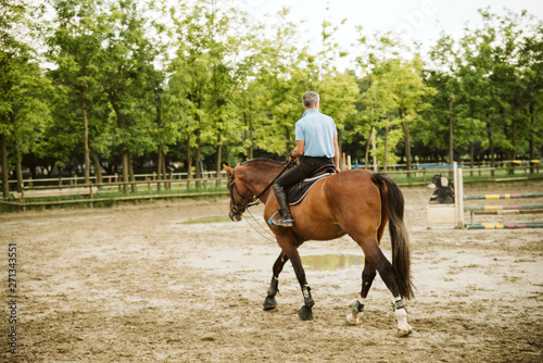  Rider rides his beautiful horse © Dragica