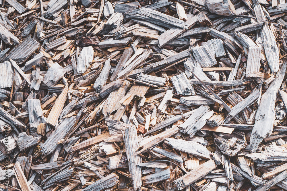Texture background of fine wood chips