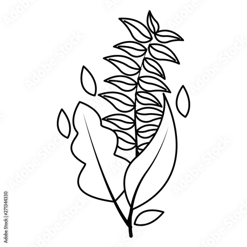 botanical leaf foliage arrangement