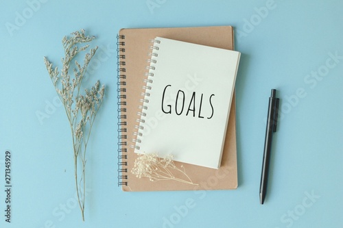 Top view of 2020 goals on notebook with pen and dry flower on Blue background,flay lay.