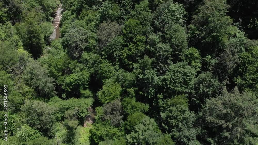 The camera's view rises from the treetops to the horizon and the mountain tops. 4K aerial video, rain forest landscape. Flying over the rainforest during cloudy weather The camera's view rises from the treetops to the horizon and the mountain tops. 4K aerial video, rain forest landscape. Flying over the rainforest during cloudy weather