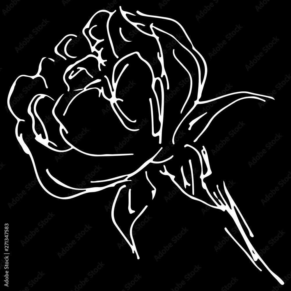 Hand Drawn Vector Illustrations Of Abstract Peony Flower Isolated on Black Background. Hand Drawn Sketch of a Flower Hand Drawn Vector Illustrations Of Abstract Peony Flower Isolated on Black Background. Hand Drawn Sketch of a Flower
