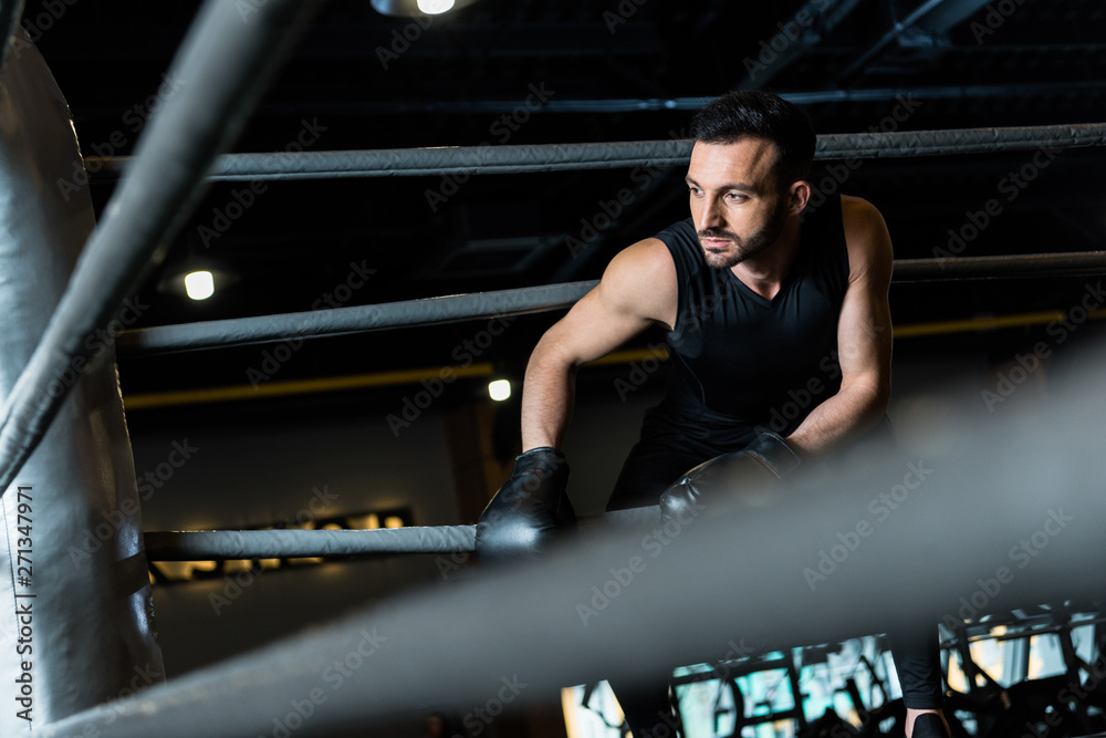 selective focus of handsome bearded man in boxing gloves selective focus of handsome bearded man in boxing gloves