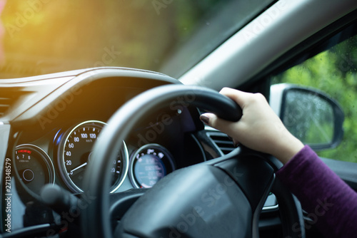  hands on steering wheel on the right with country side view
