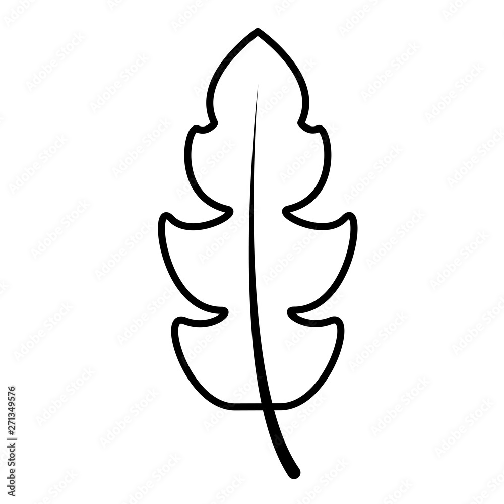 leaf botanical foliage icon outline leaf botanical foliage icon outline