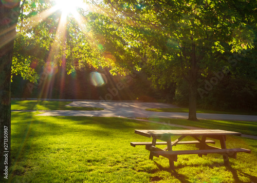 Fototapeta Naklejka Na Ścianę i Meble -  large Sun flare with tree and picnic table in park