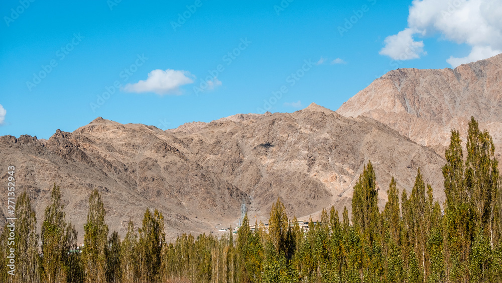 View of landscape in Leh Ladakh District ,Norther part of India